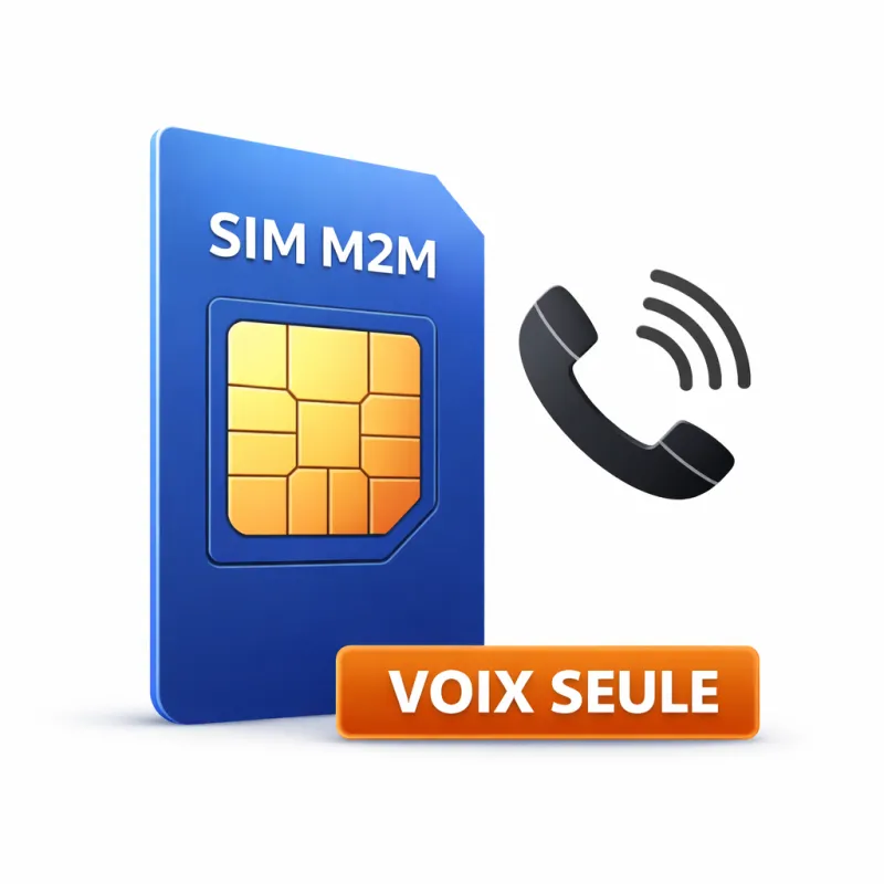 Carte SIM M2M multi-opérateurs – Prépayée 12 mois