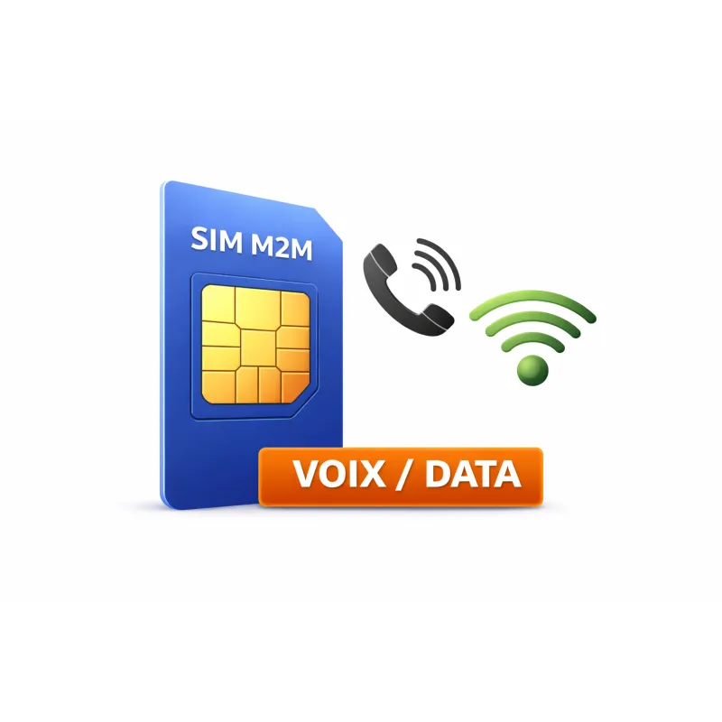 Carte SIM M2M multi-opérateurs – Prépayée 12 mois