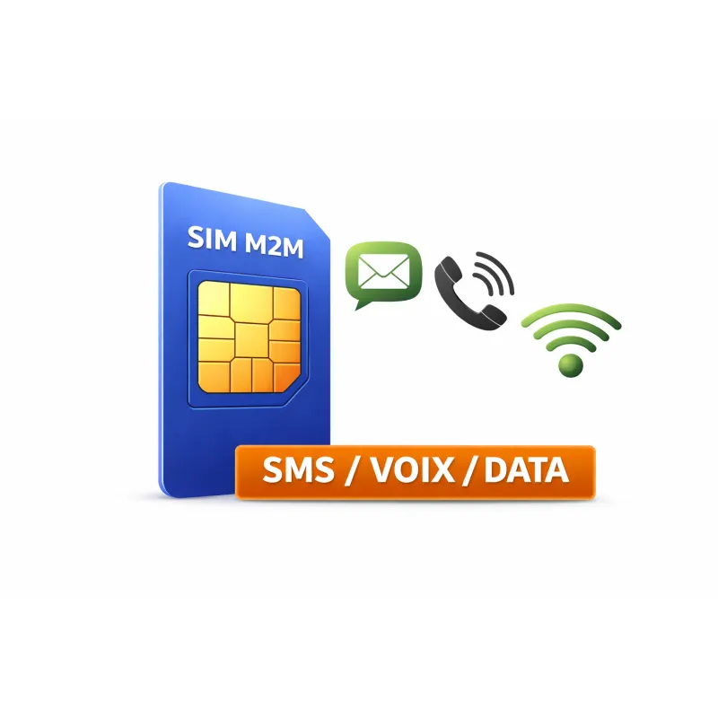 Carte SIM M2M multi-opérateurs – Prépayée 12 mois