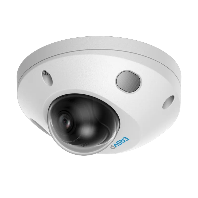 Caméra IP Dôme Easy-P 5 MP - objectif fixe 2,8 mm - double éclairage - PoE avec IA - EP-IPD310A-5-DL