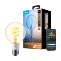 Govee Edison R14C1 – Ampoule connectée E27 G80, 500 lm