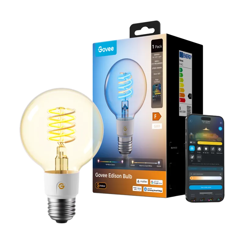 Govee Edison R14C1 – Ampoule connectée E27 G80, 500 lm